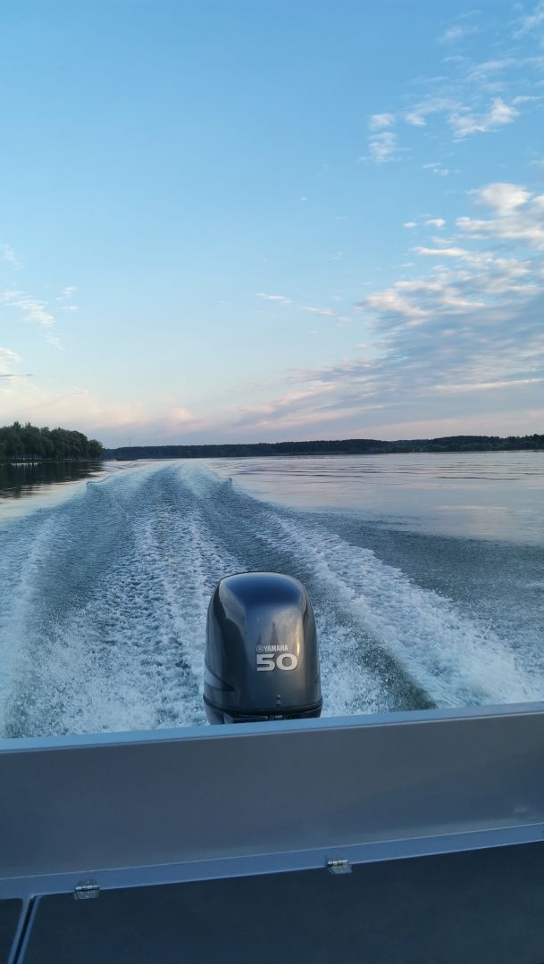 Волжанка 46 fish